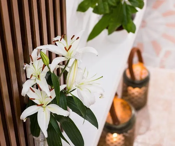 Sofi's House 公寓 Rhodes City